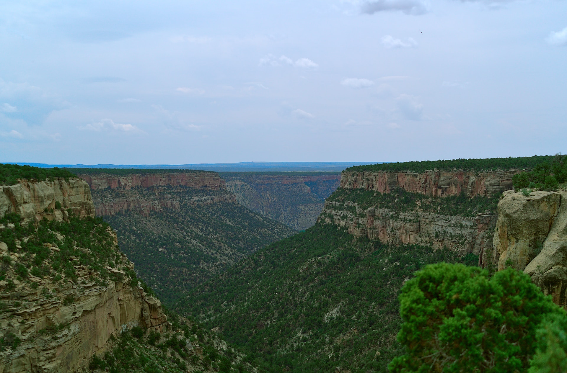Mesa Verde National Park Image