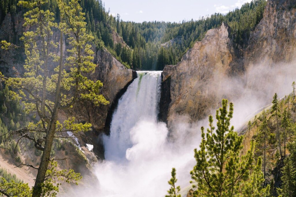 Day 2 Yellowstone National Park 3