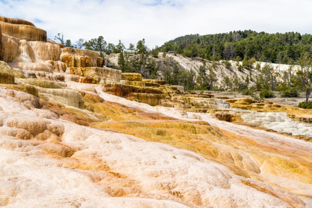 Day 2 Yellowstone National Park 5