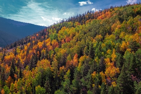 Day 3 – Drive to Rocky Mountain National Park 6