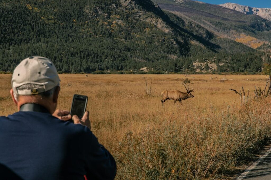 Day 4 – Hiking Wildlife and Incredible Views 1