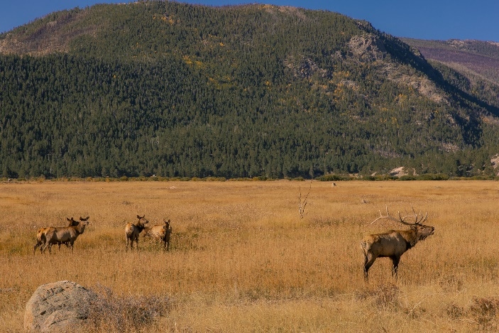 Day 4 – Hiking Wildlife and Incredible Views 2