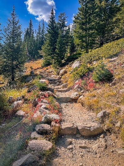 Day 4 – Hiking Wildlife and Incredible Views 3