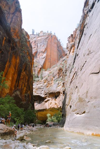 Day 6 Zion National Park 1