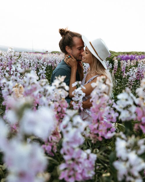 Perfect 2 Week Road Trip Itinerary for the California Coast Lompoc Flower Fields 1
