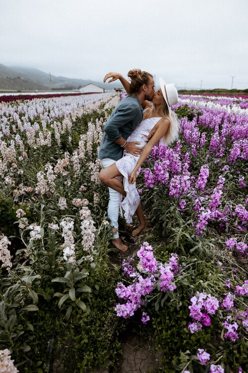 Perfect 2 Week Road Trip Itinerary for the California Coast Lompoc Flower Fields 3