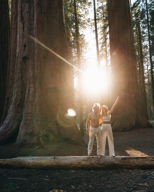 Perfect 2 Week Road Trip Itinerary for the California Coast Sequoia National Park 1