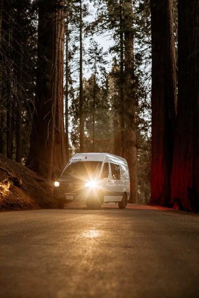 Perfect 2 Week Road Trip Itinerary for the California Coast Sequoia National Park 3