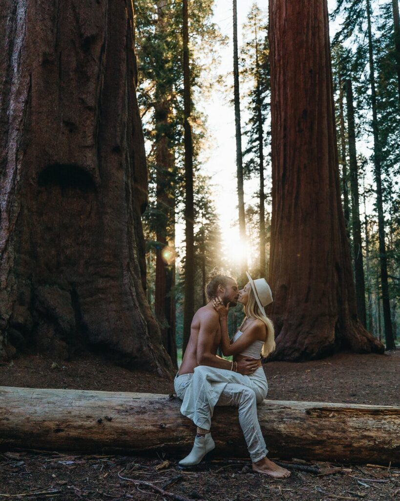 Perfect 2 Week Road Trip Itinerary for the California Coast Sequoia National Park