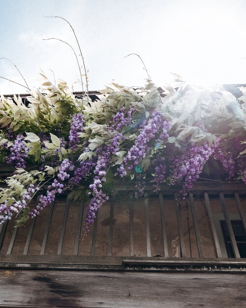 Perfect 2 Week Road Trip Itinerary for the California Coast Sonoma Flowers