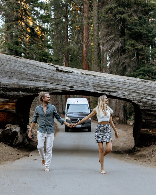 Perfect 2 Week Road Trip Itinerary for the California Coast Tunnel Log