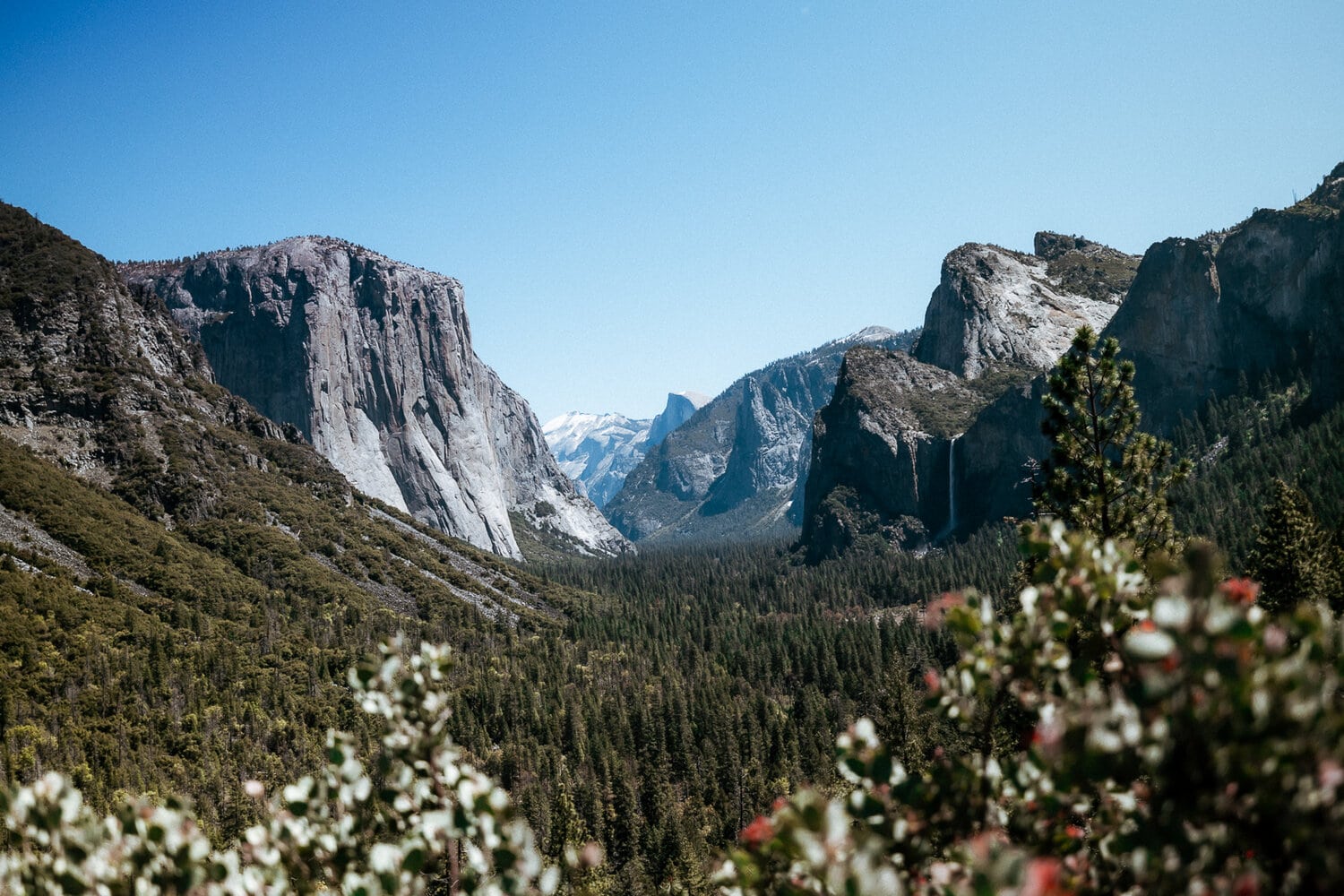 Perfect 2 Week Road Trip Itinerary for the California Coast Tunnel View